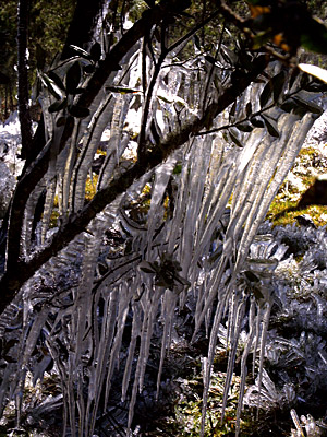 Eiszapfen in frostiger Höhe © Taktuk Domrep