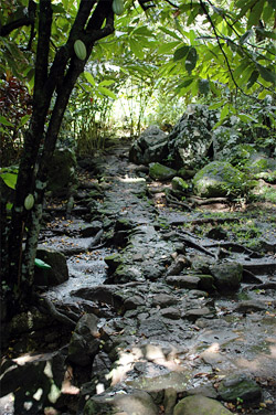 Parc Arch�ologique des Roches Grav�es
