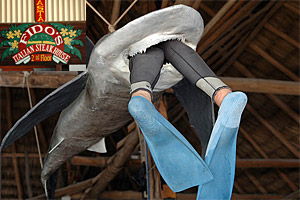 Ambergris Caye: Fido's Restaurant und Sushi Bar  N.Bruhn/CariLat