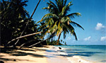 Little Corn Island: Casa Iguana