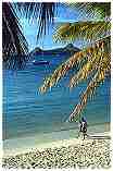 St.Lucia